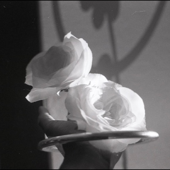 Meet your Posher, Jordan - Picture 1 of 1